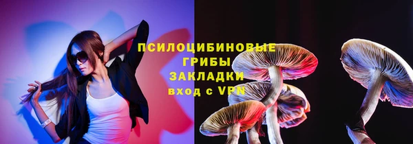 молекула духа Белокуриха