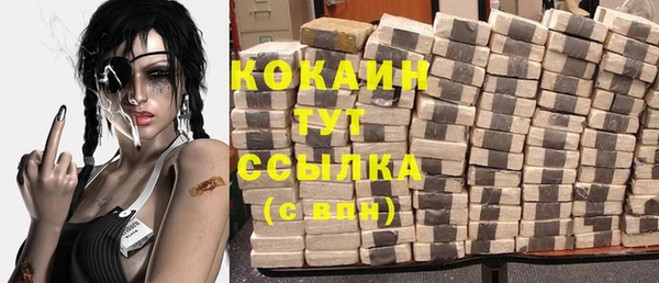 молекула духа Белокуриха