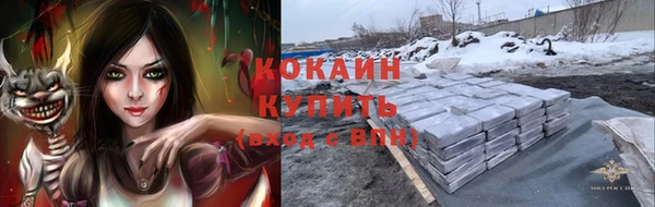 молекула духа Белокуриха
